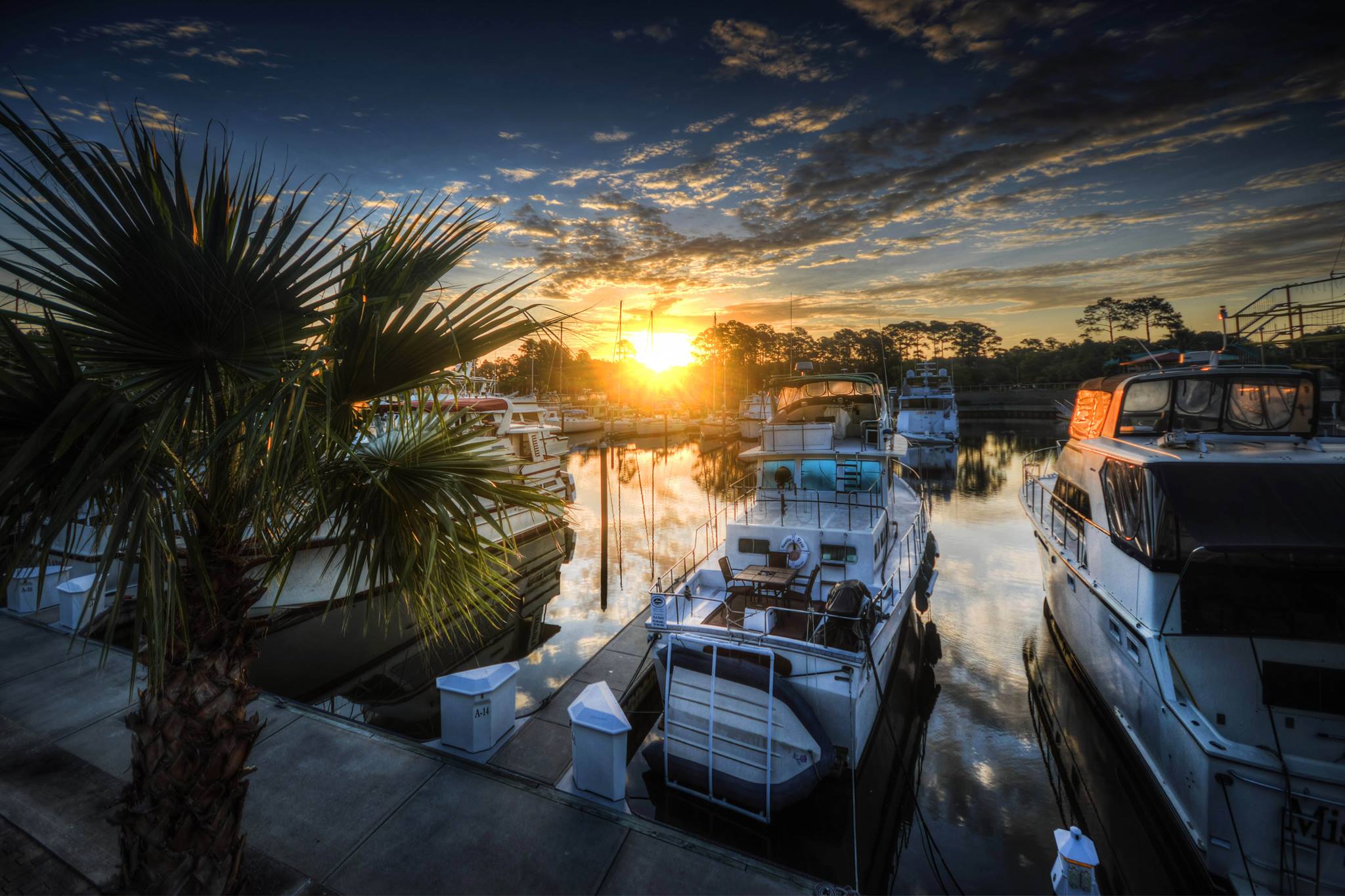 Explore the Marina