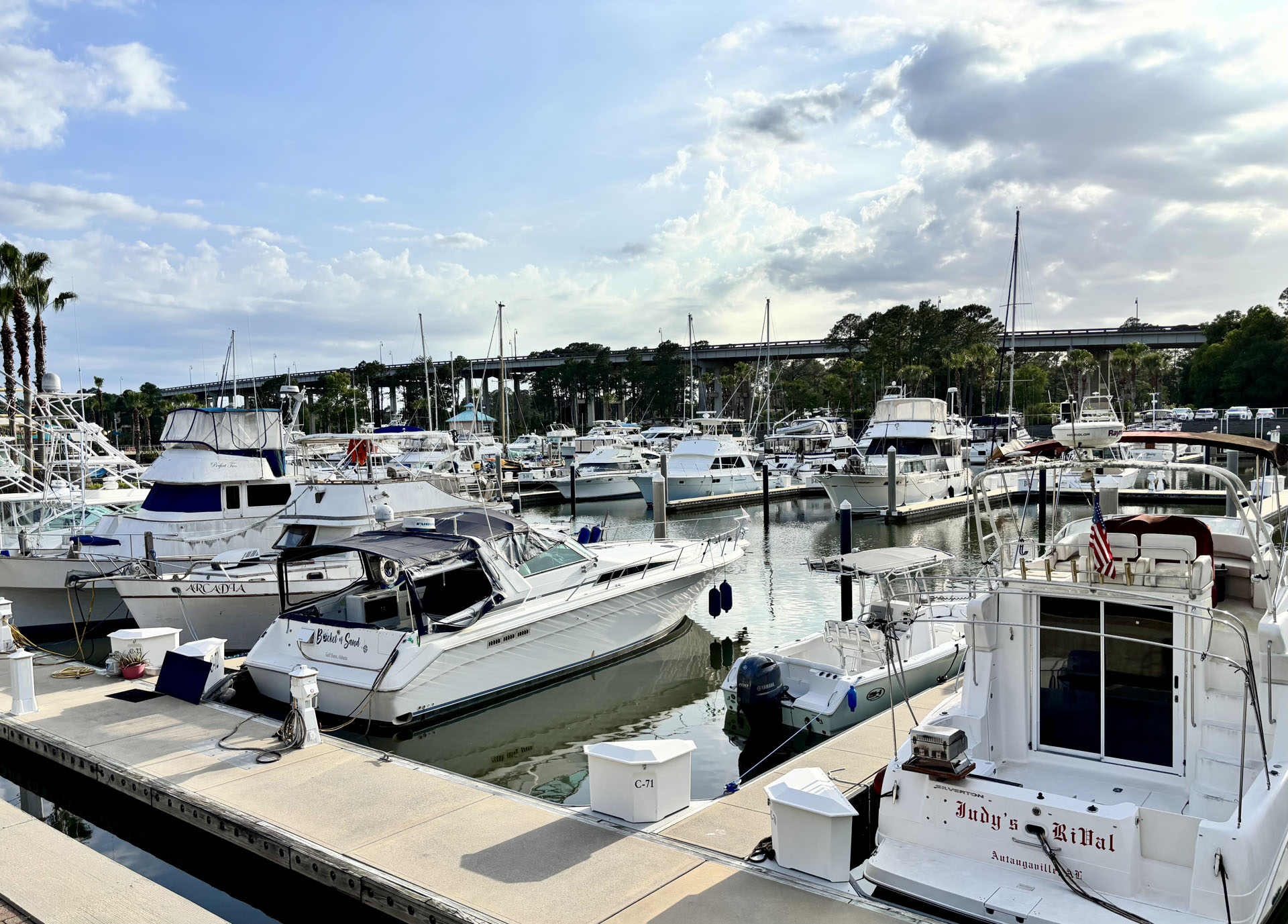Explore the Marina